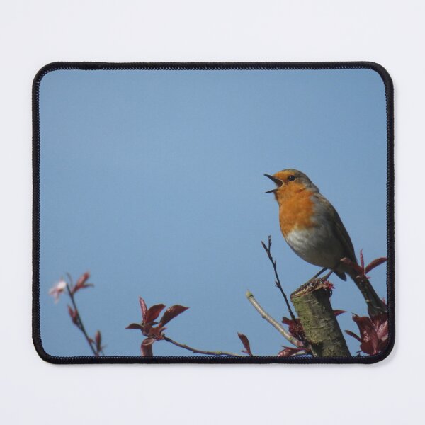 Item preview, Dawn Chorus designed and sold by wiggyofipswich.