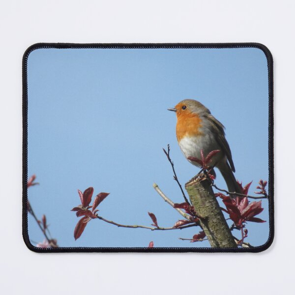 Item preview, Robin Redbreast designed and sold by wiggyofipswich.