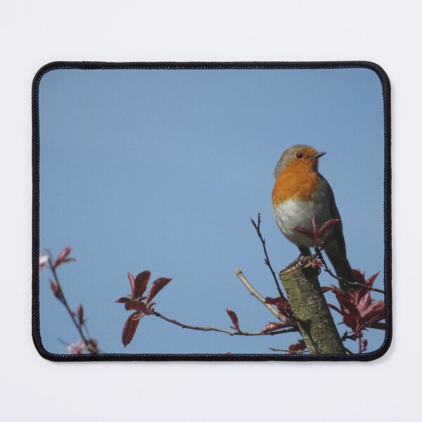 Item preview, Erithacus Rubecula, The European Robin designed and sold by wiggyofipswich.