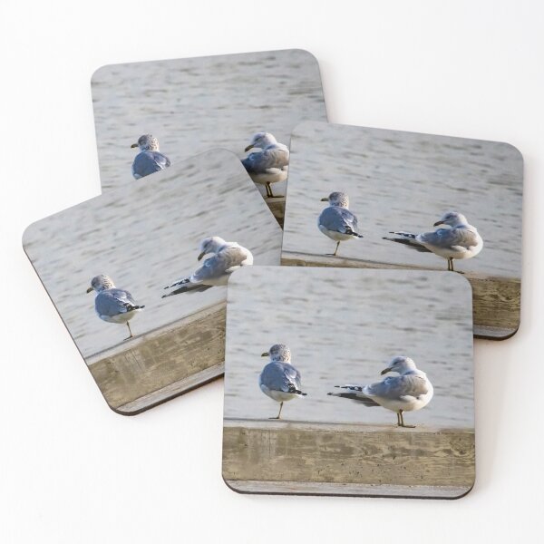 Item preview, Beaky Bystanders designed and sold by Sunshine and Nature.