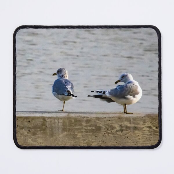 Item preview, Beaky Bystanders designed and sold by Sunshine and Nature.
