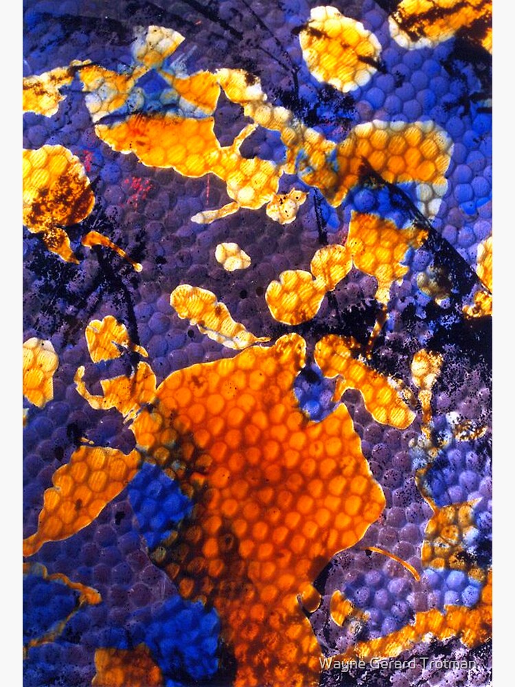 Texture by redmoondragon