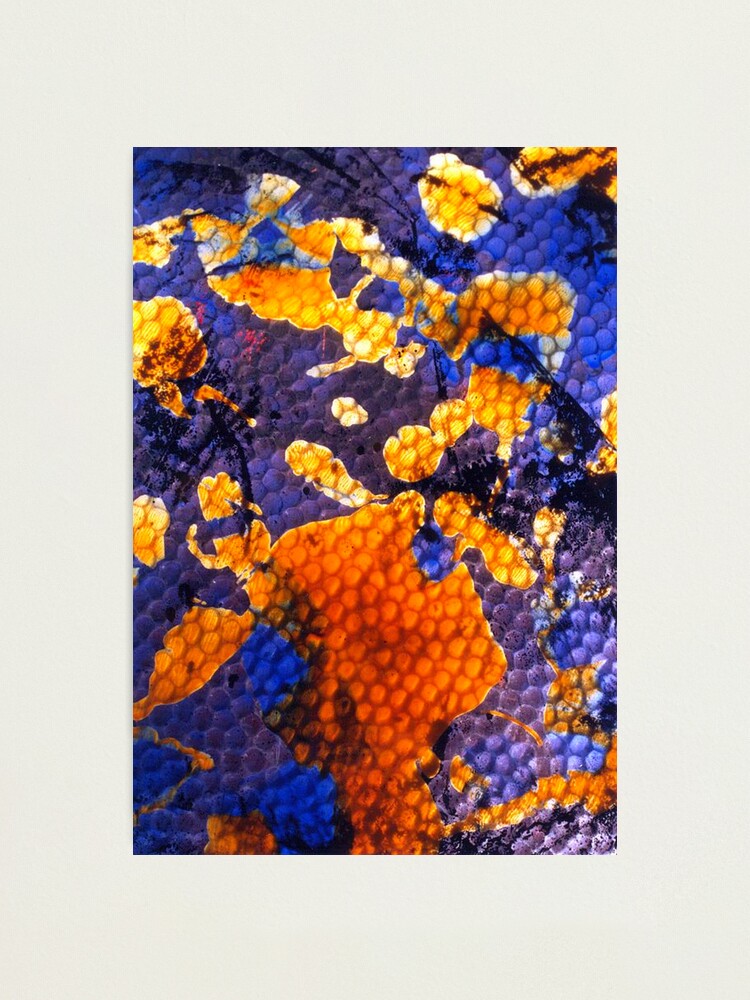 Alternate view of Texture Photographic Print