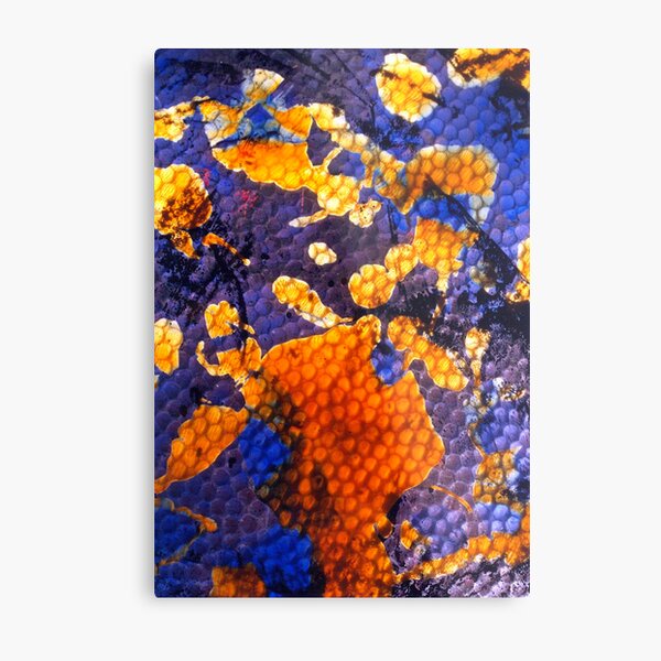 Texture Metal Print