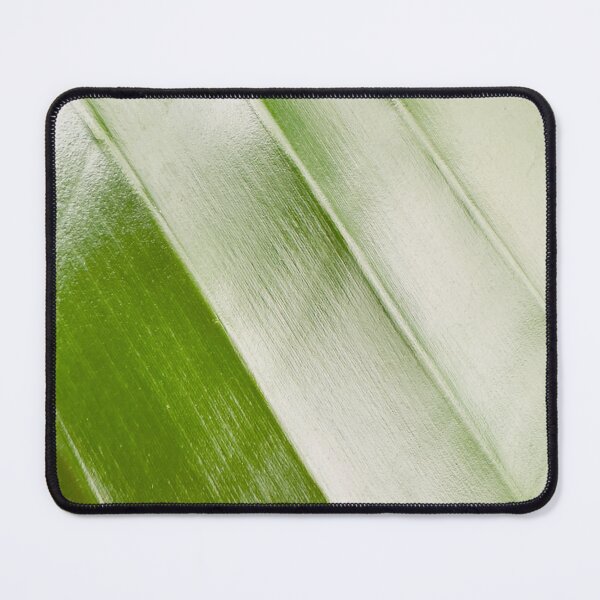 Item preview, Abstract Leaf Lines designed and sold by NatureVibesHere.