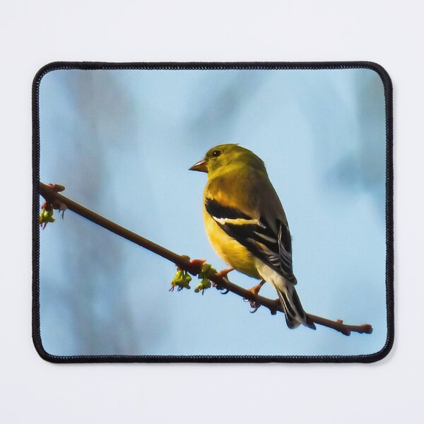 Item preview, Perched and Poised designed and sold by Sunshine and Nature.