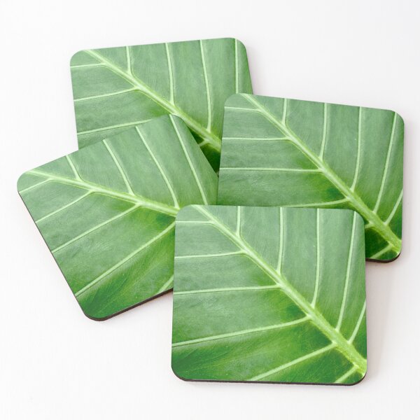 Item preview, Jungle Leaf Texture designed and sold by NatureVibesHere.