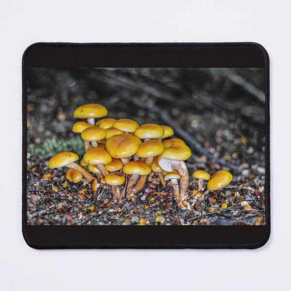 Item preview, Tarkine Wilderness Fungi designed and sold by taspaul.