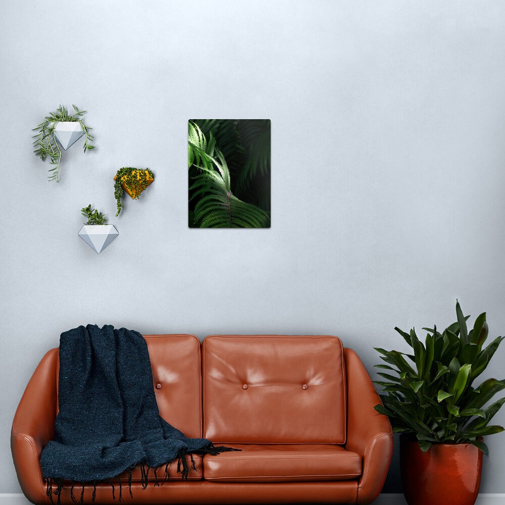 Fern Metal Print