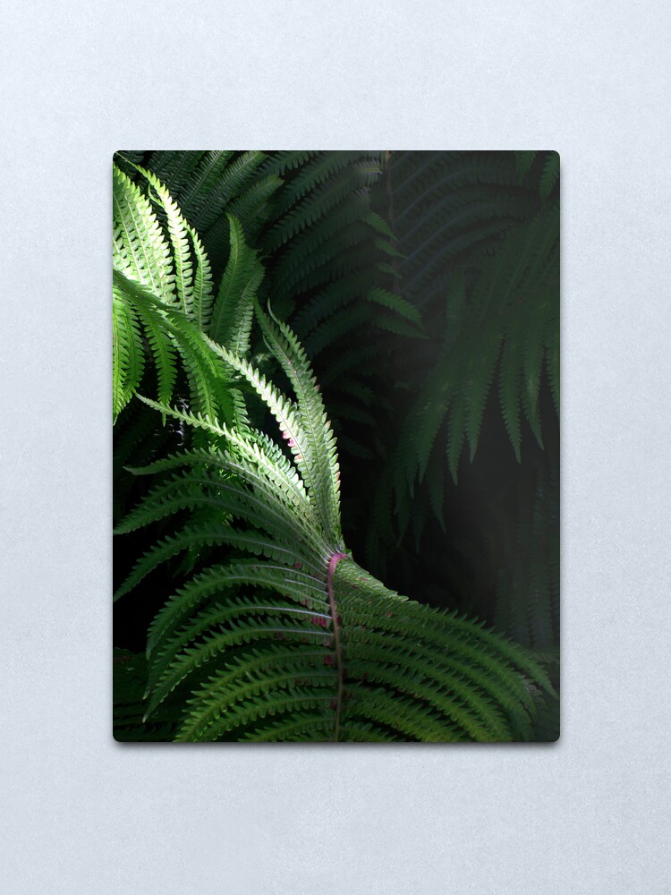 Alternate view of Fern Metal Print