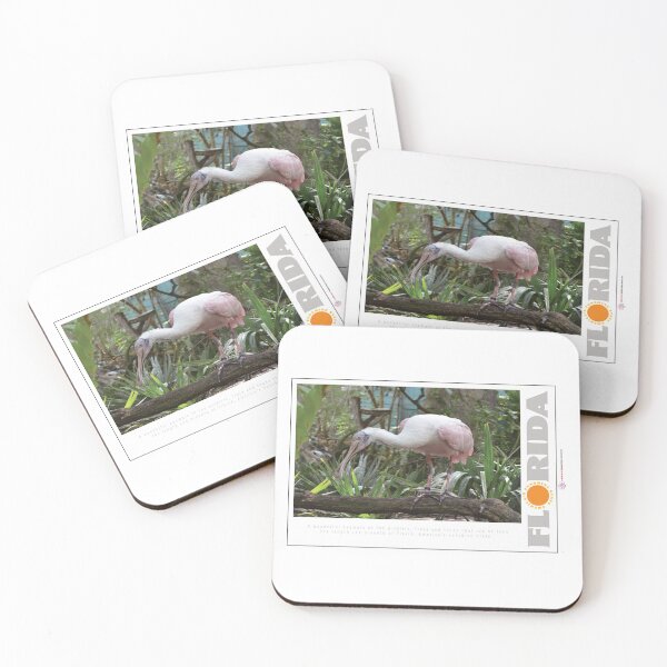 Item preview, Florida the Funshine State, Pink Flamingo Poster designed and sold by Robert Hills.