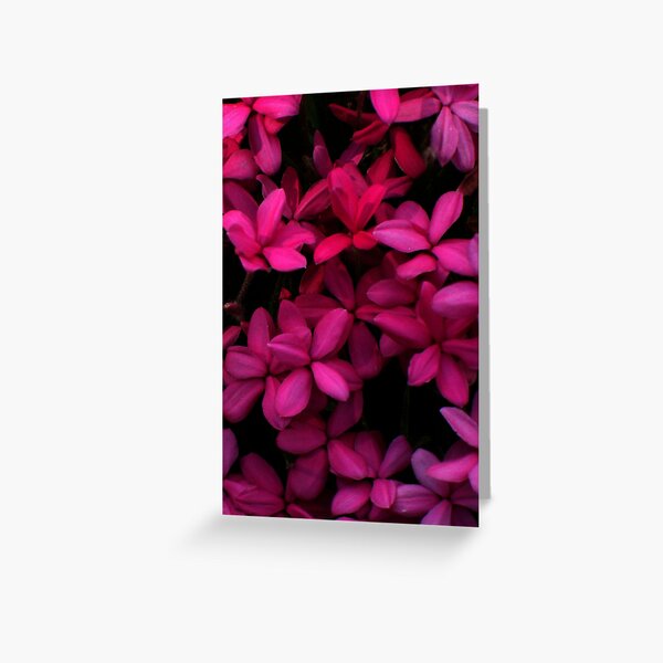 Shocking Pink Greeting Card