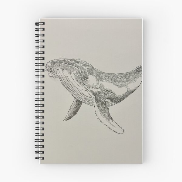 Item preview, Whale01 designed and sold by Matic’s Studio.