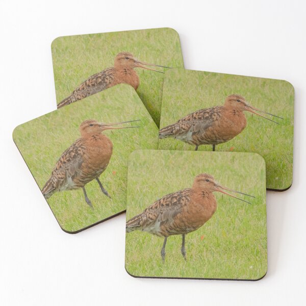 Item preview, Black-tailed godwit designed and sold by HazelWright.