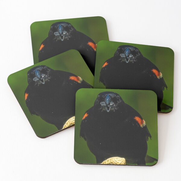 Item preview, Beak Feast designed and sold by Sunshine and Nature.