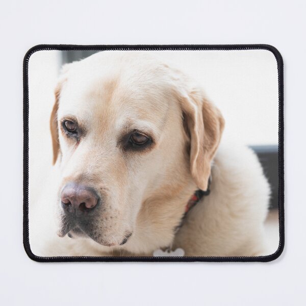 Item preview, Max designed and sold by justine Gordon.