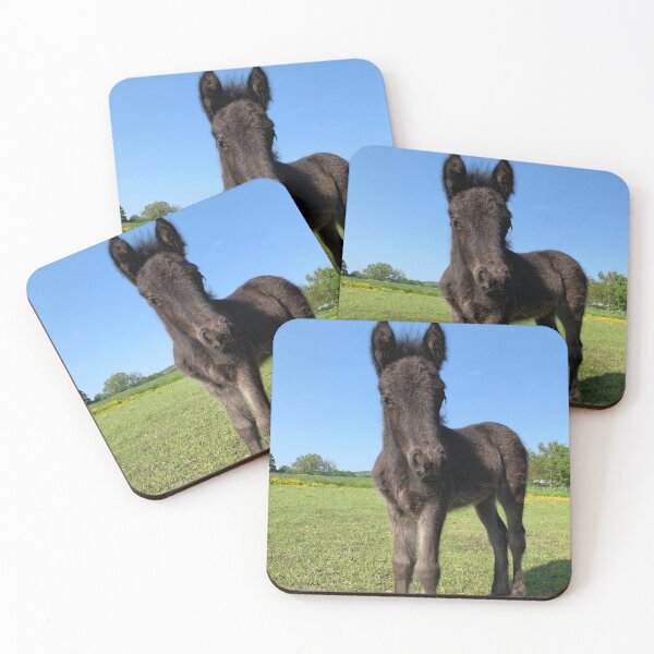 Item preview, Fell pony foal designed and sold by PiggiP.