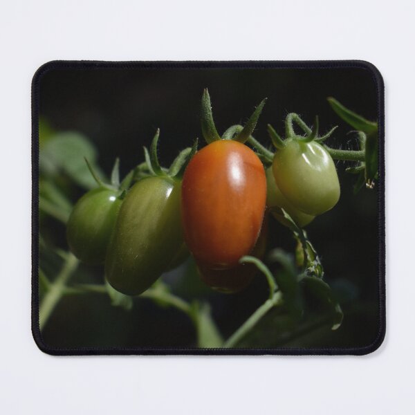 Item preview, Organic cherry tomatoes branch designed and sold by mariya-ivanova.