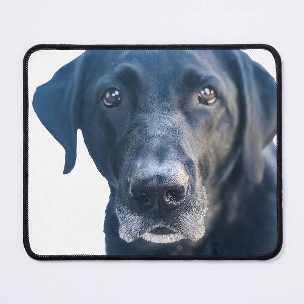 Item preview, BALOO FOREVER designed and sold by boesarts.