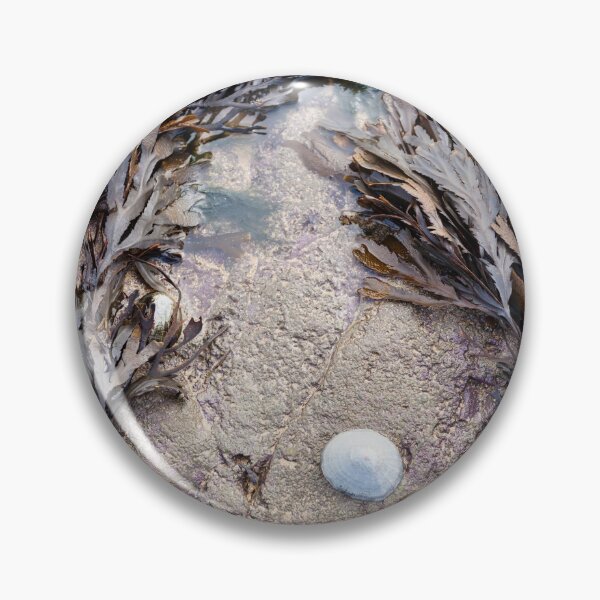 Item preview, Shells and seaweed in detail designed and sold by Explorerviews.
