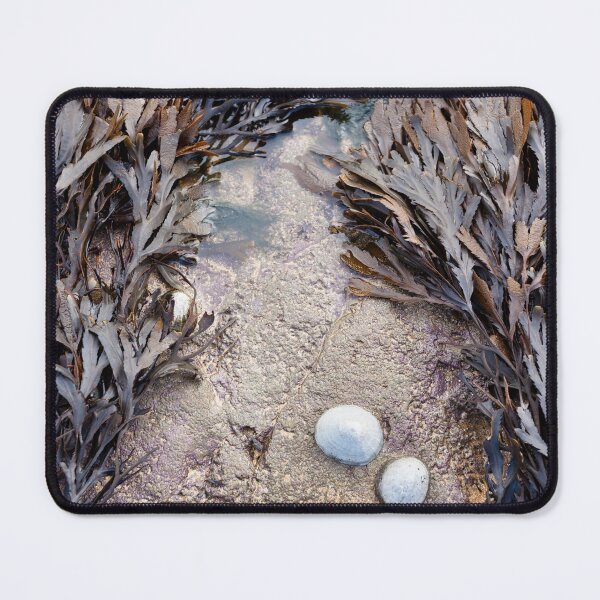 Item preview, Shells and seaweed in detail designed and sold by Explorerviews.