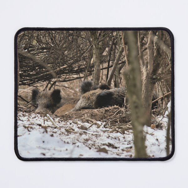 Item preview, Huddling in the Nest designed and sold by Cissa King Photography.