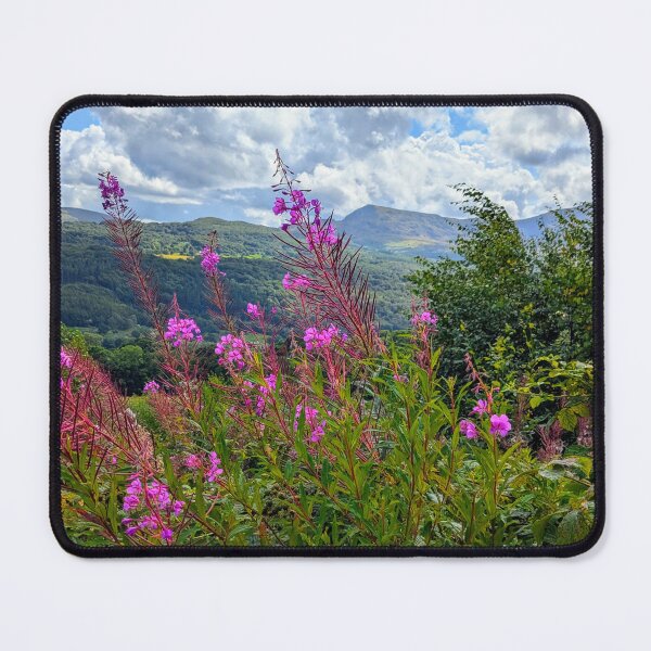 Item preview, Cadair Idris from Nannau Deer Park designed and sold by ShadrickW.