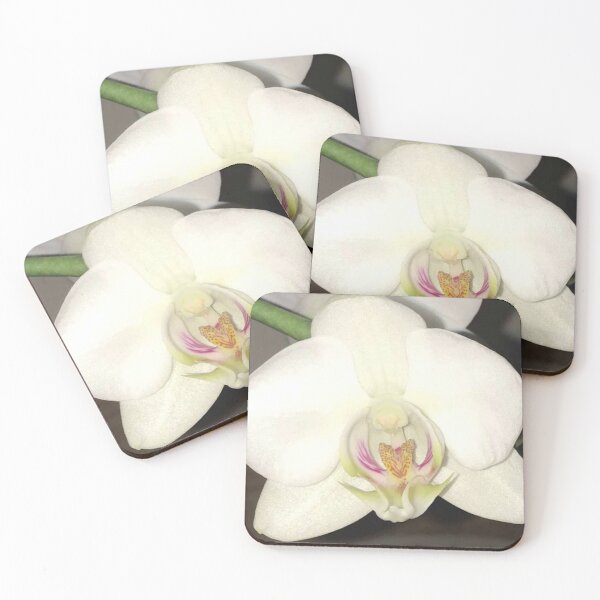 Item preview, Moth Orchid designed and sold by JuleZ54.