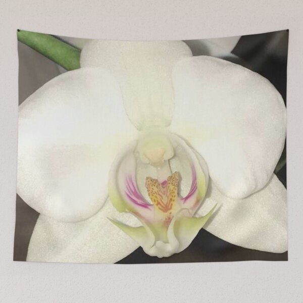 Item preview, Moth Orchid designed and sold by JuleZ54.
