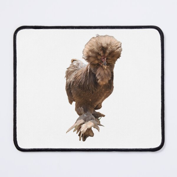 Item preview, Silkie Chicken  designed and sold by AnotherFemaleHuman.