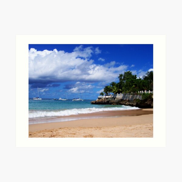 Store Bay Art Print