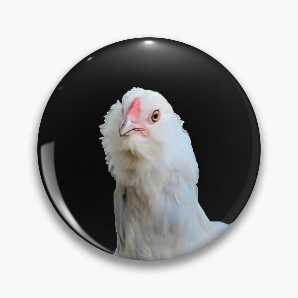 Aperçu de l'œuvre Poulet Ameraucana créée et vendue par AnotherFemaleHuman.