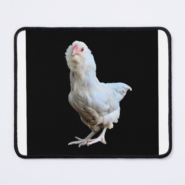 Item preview, Ameraucana Chicken  designed and sold by AnotherFemaleHuman.