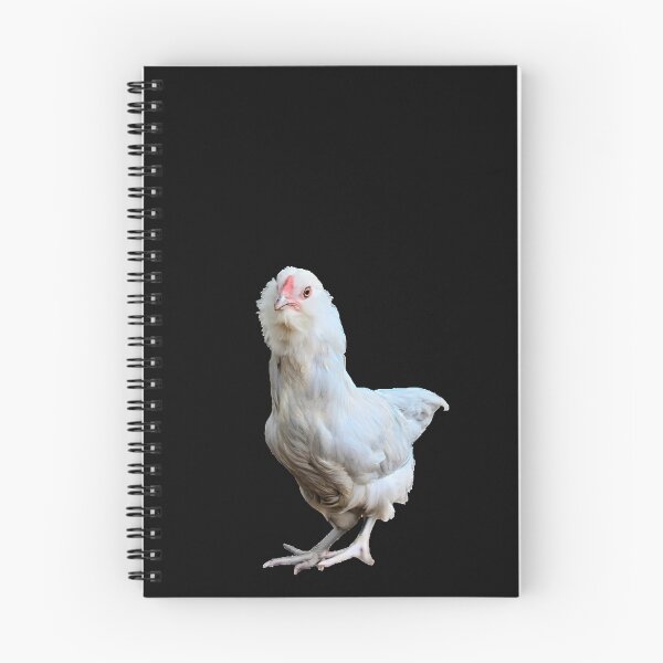 Aperçu de l'œuvre Poulet Ameraucana créée et vendue par AnotherFemaleHuman.