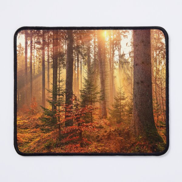 Item preview, Golden Autumn Sunrise in a Tranquil Forest designed and sold by PygmyTitan Photo.