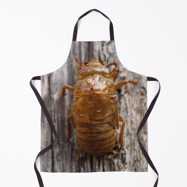 Item preview, Cicada designed and sold by Tim Dusenberry.