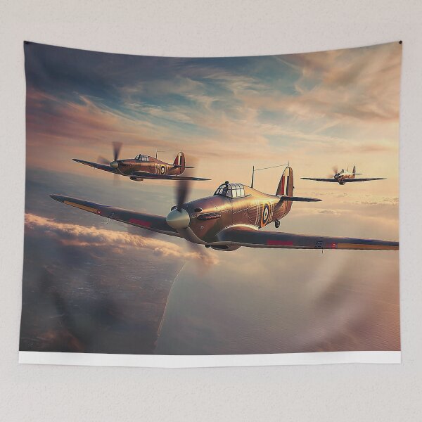 Item preview, South Coast Enforcers designed and sold by Skyframe Aviation.