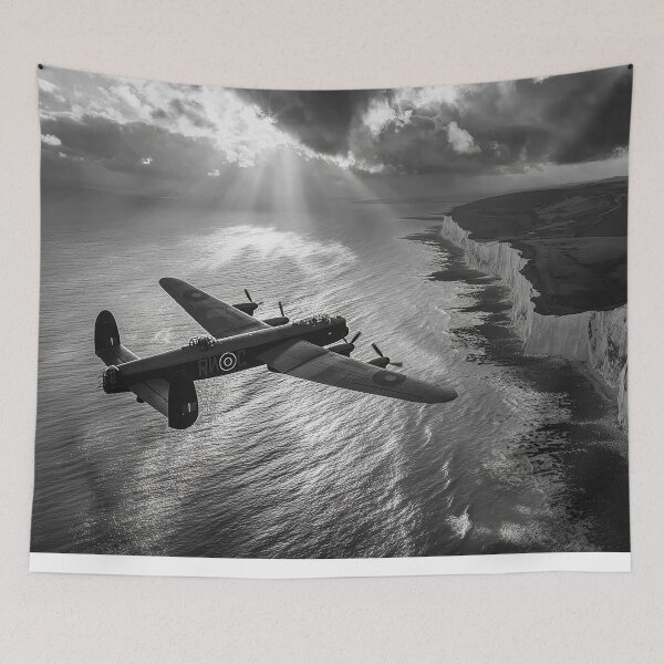 Item preview, No Bluebirds To Greet Us designed and sold by Skyframe Aviation.