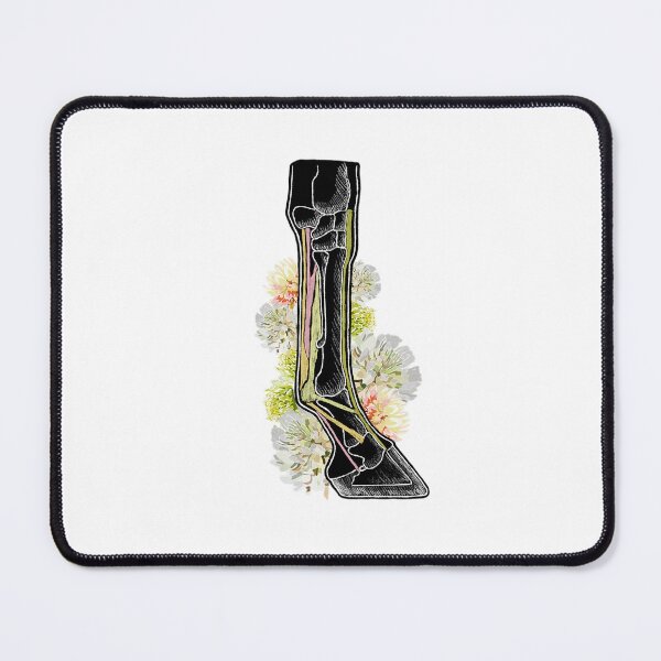 Item preview, Floral Horse Leg Anatomy designed and sold by Dr. Leigh Designs.