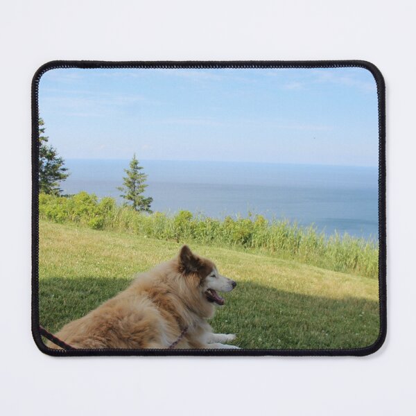 Item preview, Suka Enjoying Cape George designed and sold by Melissa Glabay.
