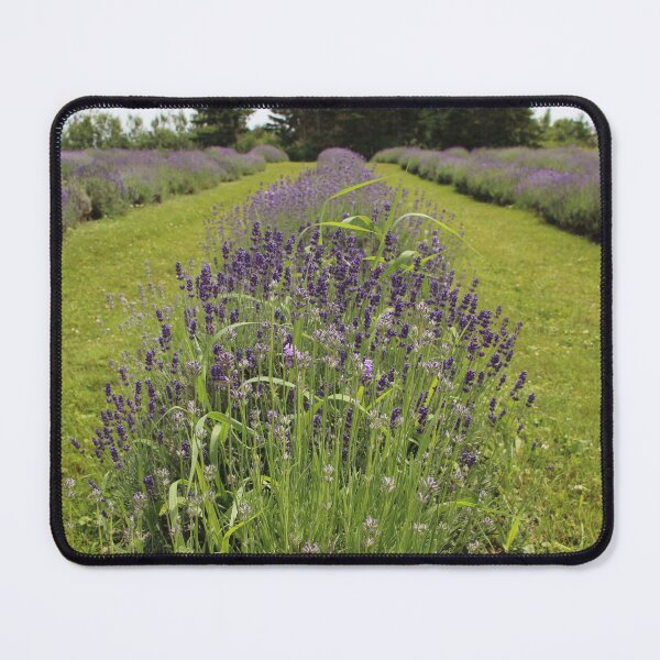 Item preview, Seafoam Lavender Farm designed and sold by Melissa Glabay.