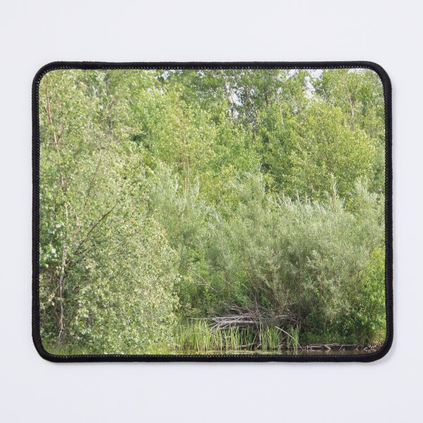 Item preview, Greenhill Pond designed and sold by Melissa Glabay.
