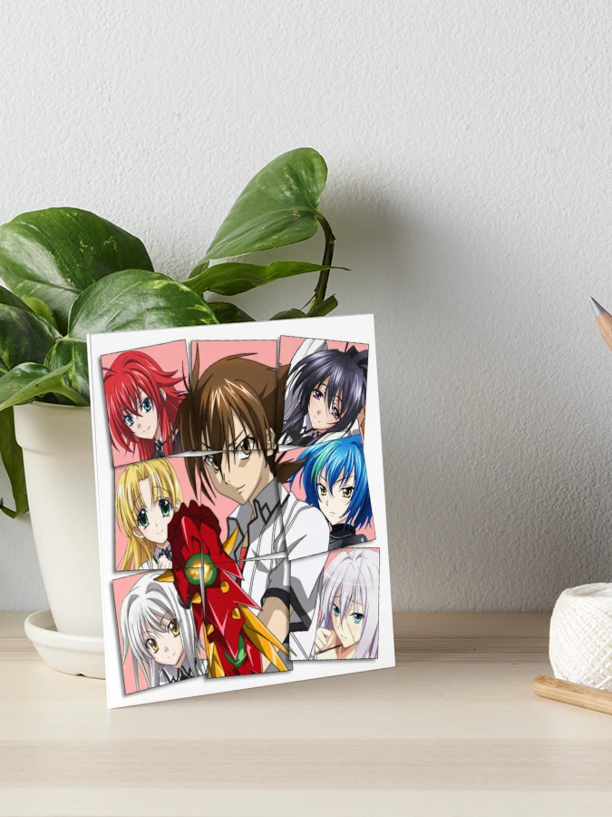 High School DxD Paint By Numbers - Numeral Paint Kit