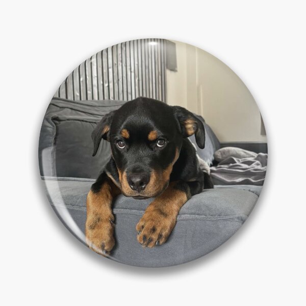 Item preview, Esco the Rottie designed and sold by Braithwaite119.