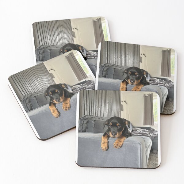Item preview, Esco the Rottie designed and sold by Braithwaite119.