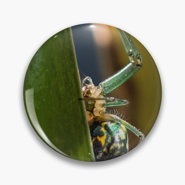 Item preview, Orchard Orb-Weaver II designed and sold by Emily Noyes.