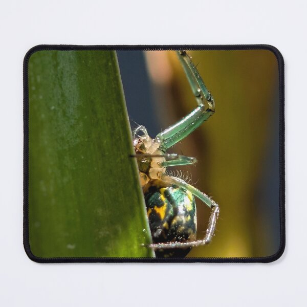 Item preview, Orchard Orb-Weaver II designed and sold by Emily Noyes.