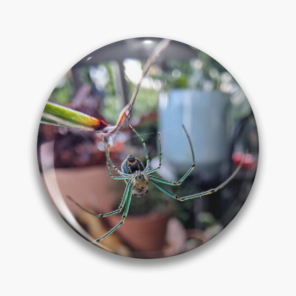 Item preview, Orchard Orb-Weaver  designed and sold by Emily Noyes.