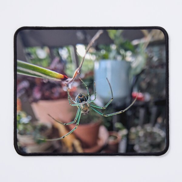 Item preview, Orchard Orb-Weaver designed and sold by Emily Noyes.
