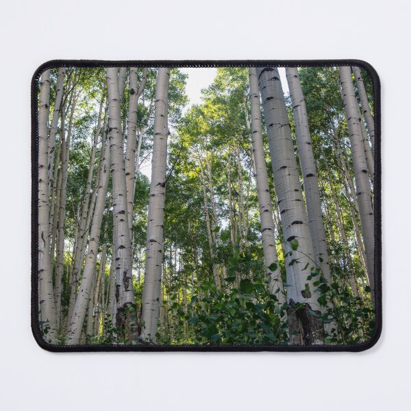 Item preview, Summer Aspen Trees designed and sold by The Scenic Route.